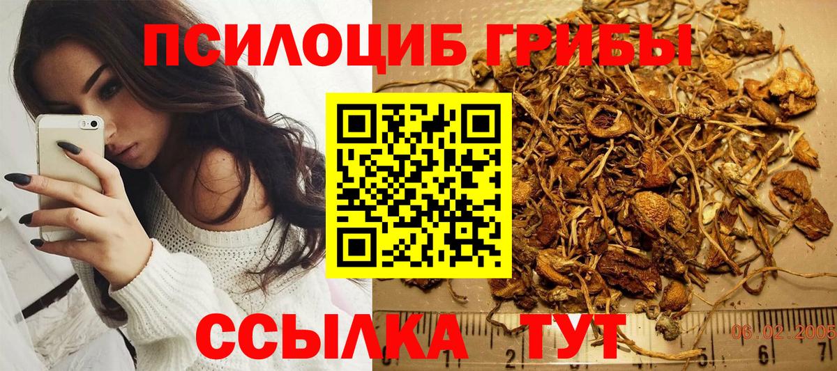 Псилоцибиновые грибы мухоморы  Галлюциногенные грибы Cubensis  Вход с VPN  купить наркоту  Кострома 