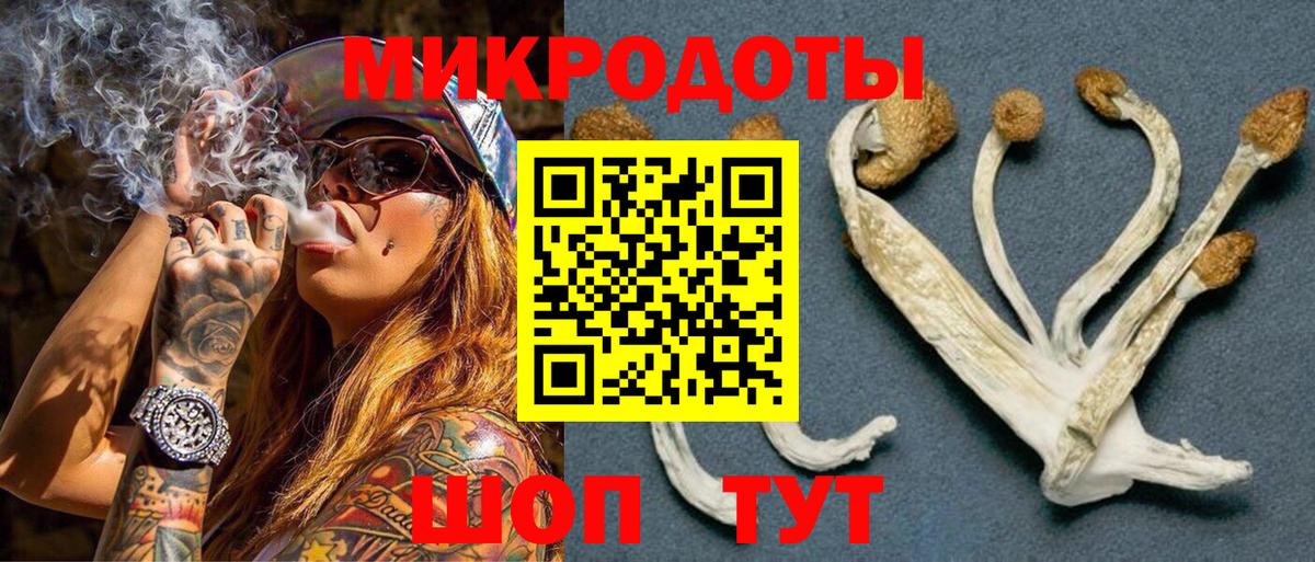Галлюциногенные грибы мухоморы Кострома